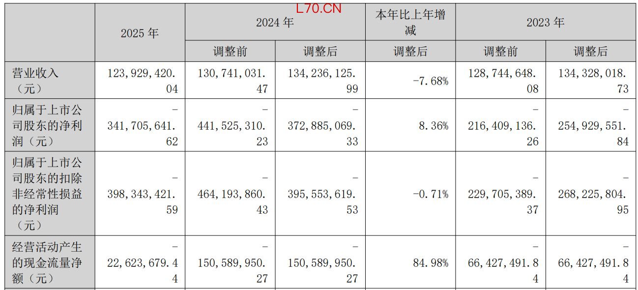 图片来源：*ST新元2025年年度报告