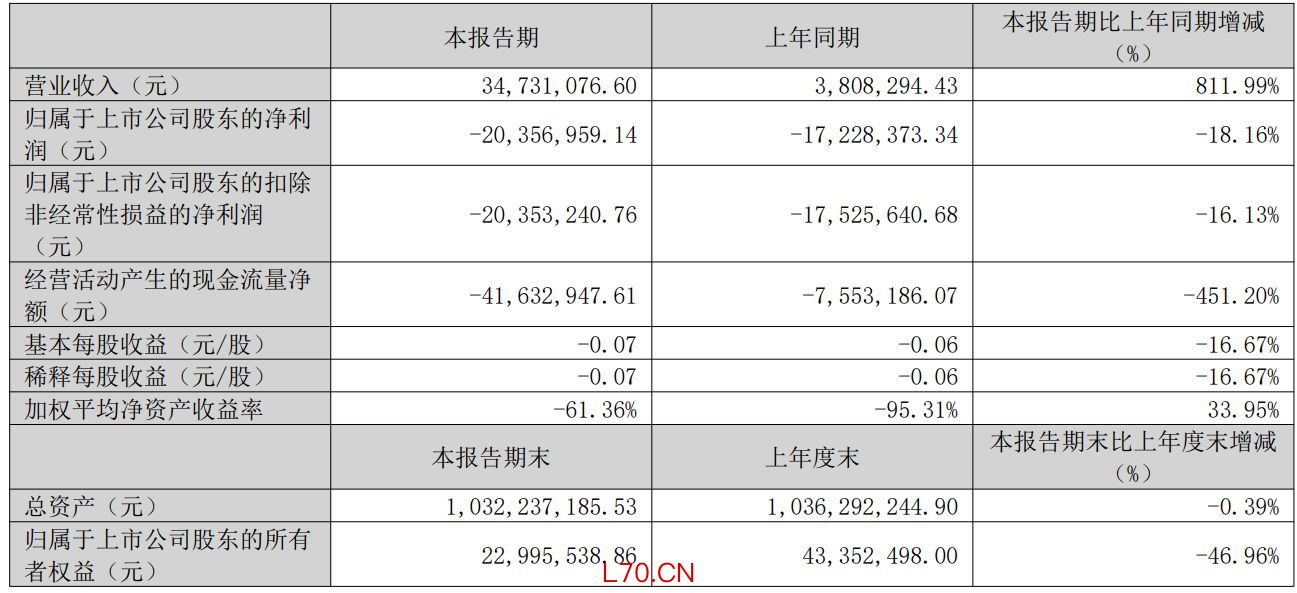 图片来源：*ST新元2026年第一季度报告