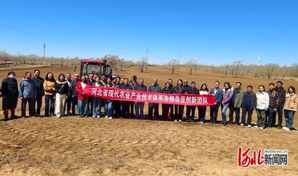 岗站联合 打造高标准食用豆示范基地