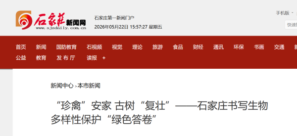 “珍禽”安家 古树“复壮”——石家庄书写生物多样性保护“绿色答卷”