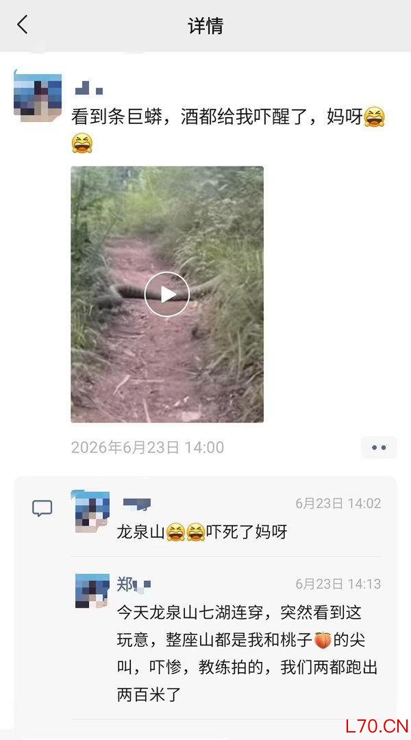 拍摄者回应手臂粗巨蛇视频被指伪造 真伪引发网友热议