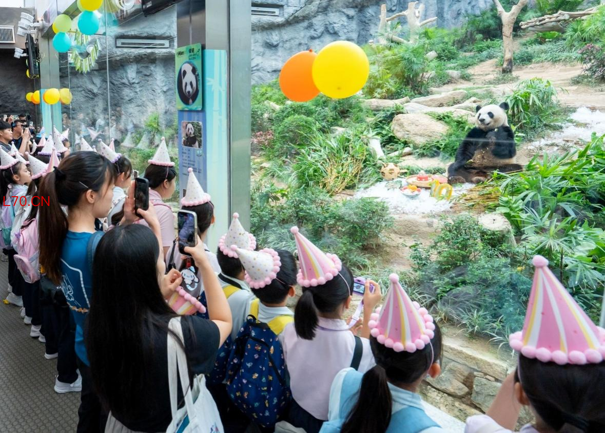 图为学生们为大熊猫“健健”、“康康”庆生。澳门特区市政署供图