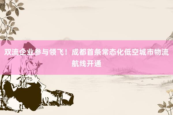 双流企业参与领飞！成都首条常态化低空城市物流航线开通