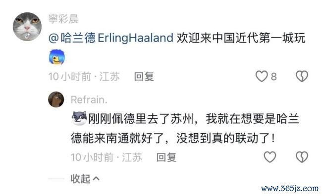 哈兰德留言点赞 南通非遗糖画火了 糖艺创新获认可